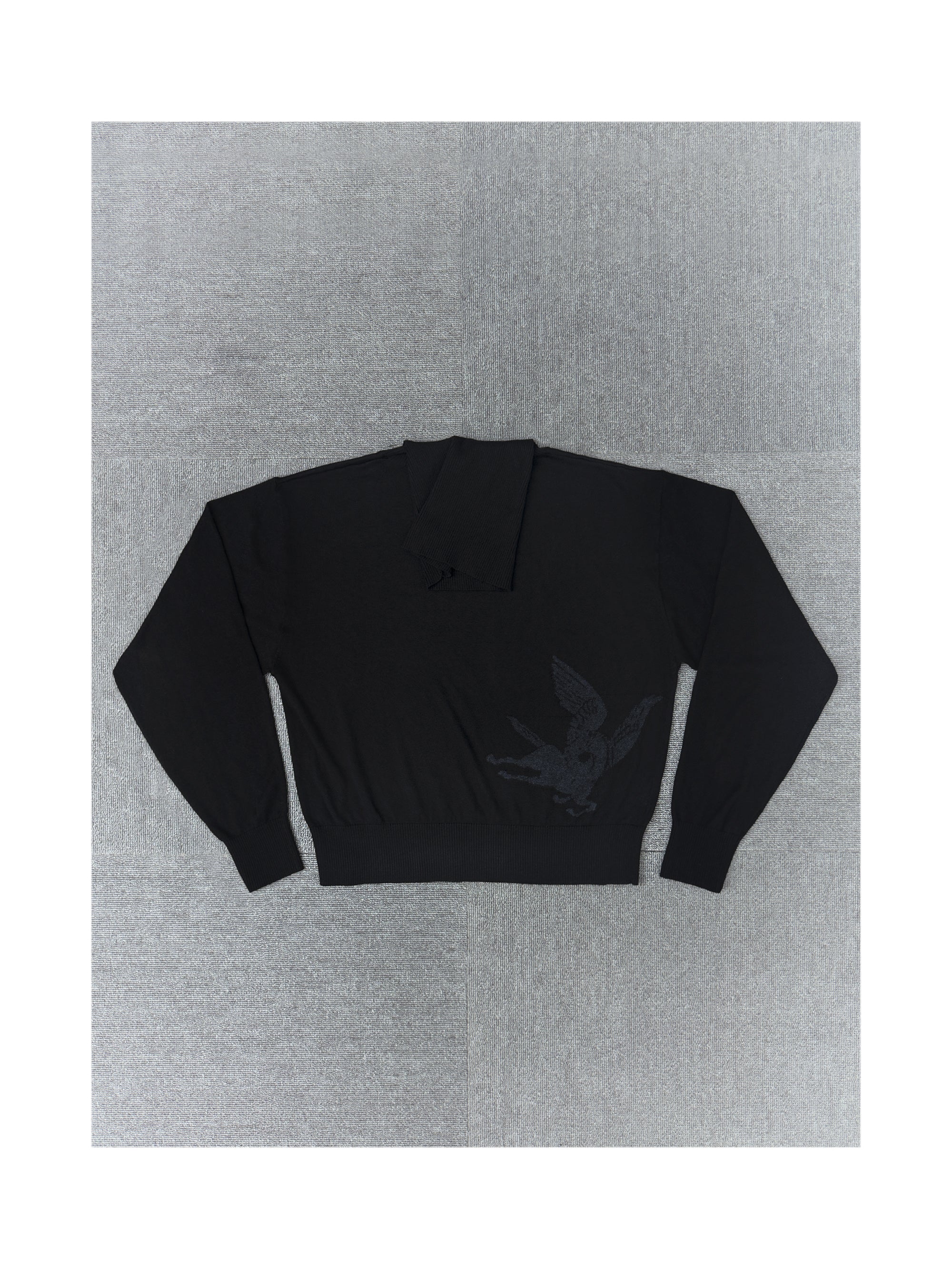 10SS PEGASUS BRUSHED TURTLENECK